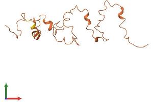 AlphaFold protein structure predicition of Human Recombinant KRTAP4-4 Protein, UniprotID Q9BYR3 (KRTAP4-4 Protein (AA 1-166) (His tag))