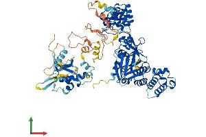 AlphaFold protein structure predicition of Human Recombinant KRIT1 Protein, UniprotID O00522