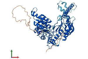 AlphaFold protein structure predicition of Human Recombinant SPTLC3 Protein, UniprotID Q9NUV7 (SPTLC3 Protein (AA 1-552) (His tag))