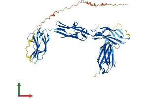 AlphaFold protein structure predicition of Mouse Recombinant Mybph Protein, UniprotID P70402