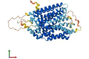 AlphaFold protein structure predicition of Human Recombinant MFSD13A Protein, UniprotID Q14CX5 (TMEM180 Protein (AA 1-517) (His tag))