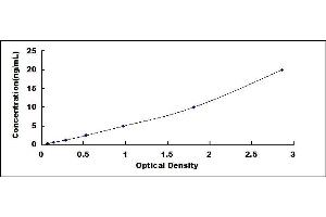 Typical standard curve (SIRT1 ELISA Kit)