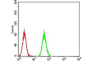 Flow Cytometry (FACS) image for anti-Chromobox Homolog 1 (CBX1) (AA 1-185) antibody (ABIN5890956) (CBX1 antibody  (AA 1-185))