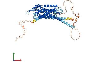 AlphaFold protein structure predicition of Mouse Recombinant Cckar Protein, UniprotID O08786 (CCKAR Protein (AA 1-436) (His tag))