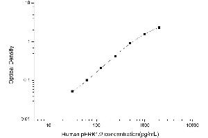 Typical standard curve (ERK1/2 ELISA Kit)