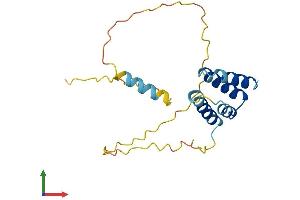 AlphaFold protein structure predicition of Human Recombinant CT45A5 Protein, UniprotID P0DMU8 (CT45A5 Protein (AA 1-189) (His tag))