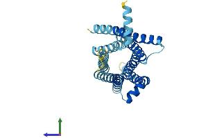 AlphaFold protein structure predicition of Human Recombinant TAS2R50 Protein, UniprotID P59544 (TAS2R50 Protein (AA 1-299) (His tag))