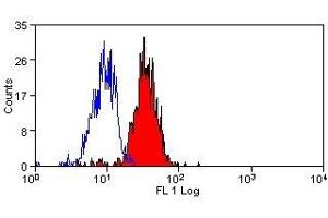 Flow Cytometry (FACS) image for anti-C-Type Lectin Domain Family 7, Member A (CLEC7A) antibody (ABIN2473247) (CLEC7A antibody)