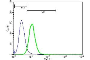 U937 cells probed with Rabbit Anti-Annexin A2 Polyclonal Antibody,FITC Conjugated (ABIN670356-FITC) at 1:50 for 40 minutes (green) compared to control cells (blue). (Annexin A2 antibody)