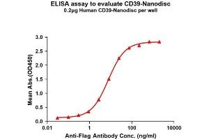 Elisa plates were pre-coated with Flag Tag CD39-Nanodisc (0. (CD39 Protein)