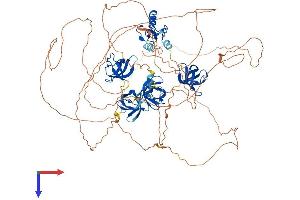 SH3 Domain Containing Ring Finger 3 (SH3RF3) (AA 1-878) protein (His tag)