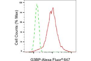 Flow cytometric analysis of G3BP expression in HepG2 cells using G3BP antibody (ABIN7798814), 1:2,000).