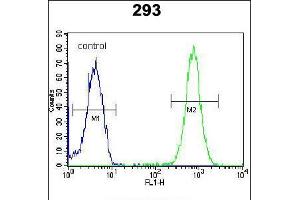 Flow cytometric analysis of 293 cells (right histogram) compared to a negative control cell (left histogram). (SAR1B antibody  (AA 89-116))