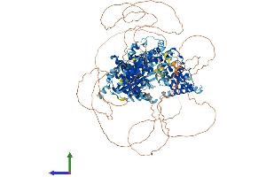 AlphaFold protein structure predicition of Mouse Recombinant Alpk1 Protein, UniprotID Q9CXB8 (ALPK1 Protein (AA 1-1231) (His tag))