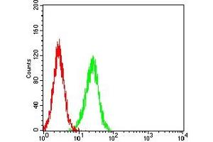 Flow cytometric analysis of SK-OV-3 cells using MUC16 mouse mAb (green) and negative control (red). (MUC16 antibody  (AA 1-200))