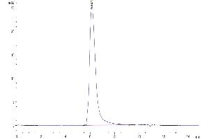 The purity of Human IL-23R is greater than 95 % as determined by SEC-HPLC. (IL23R Protein (AA 24-355) (mFc Tag))