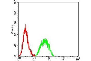 Flow cytometric analysis of THP-1 cells using IL1A mouse mAb (green) and negative control (red). (IL1A antibody)