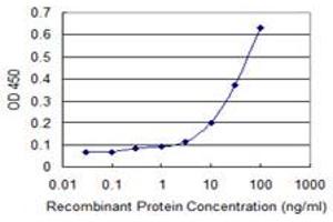Detection limit for recombinant GST tagged GIMAP2 is 1 ng/ml as a capture antibody. (GIMAP2 antibody  (AA 1-100))
