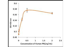 Activity Assay (AcA) image for Prolactin (PRL) (Active) protein (ABIN5509530) (Prolactin Protein (PRL))