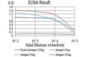 Black line: Control Antigen (100 ng),Purple line: Antigen (10 ng), Blue line: Antigen (50 ng), Red line:Antigen (100 ng)