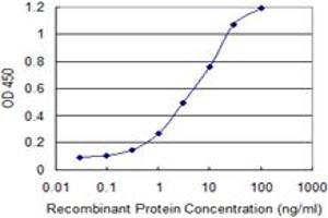 Detection limit for recombinant GST tagged KRT71 is 0. (Keratin 71 antibody  (AA 251-332))