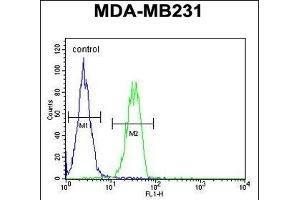 Flow Cytometry (FACS) image for anti-UDP-Gal:betaGlcNAc beta 1,4-Galactosyltransferase, Polypeptide 6 (B4GALT6) (AA 319-346), (C-Term) antibody (ABIN654654)