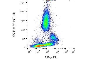 Flow cytometry analysis (surface staining) of CD54 expression in activated human peripheral blood with anti-CD54 (MEM-111) PE. (ICAM1 antibody  (PE))