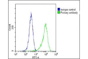 Overlay histogram showing Hela cells stained with (ABIN391965 and ABIN2841761)(green line). (FGFR2 antibody  (N-Term))