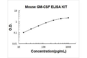 Colony Stimulating Factor 2 (Granulocyte-Macrophage) (CSF2) ELISA Kit