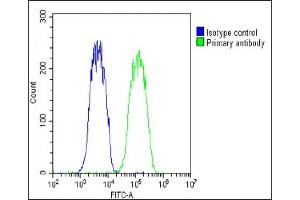 Overlay histogram showing Hela cells stained with (ABIN651869 and ABIN2840430)(green line). (WNT5A antibody  (AA 185-213))