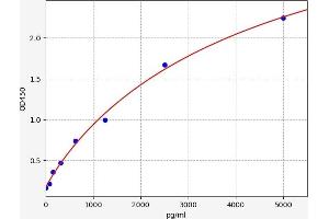 Typical standard curve (KISS1 ELISA Kit)