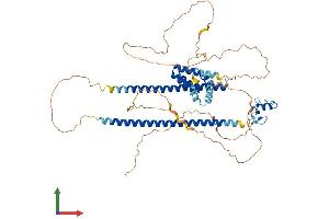 Protein Structure (PS) image for Core-binding Factor, Runt Domain, alpha Subunit 2, Translocated To, 2 (CBFA2T2) (AA 1-594) protein (His tag) (ABIN7562544)