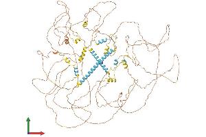 AlphaFold protein structure predicition of Mouse Recombinant Nrip1 Protein, UniprotID Q8CBD1