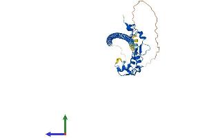 AlphaFold protein structure predicition of Mouse Recombinant Fam76a Protein, UniprotID Q922G2