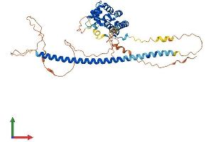 AlphaFold protein structure predicition of Human Recombinant RUNDC3A Protein, UniprotID Q59EK9 (RUNDC3A Protein (AA 1-446) (His tag))