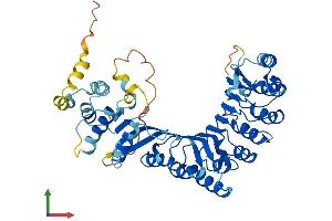 AlphaFold protein structure predicition of Human Recombinant PRAMEF4 Protein, UniprotID O60810 (PRAMEF4 Protein (AA 1-478) (His tag))