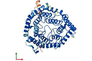 AlphaFold protein structure predicition of Mouse Recombinant Lancl3 Protein, UniprotID Q8CD19