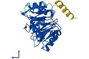 AlphaFold protein structure predicition of Mouse Recombinant Eif6 Protein, UniprotID O55135 (EIF6 Protein (AA 1-245) (His tag))