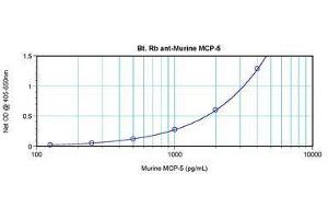 Image no. 1 for anti-Chemokine (C-C Motif) Ligand 12 (Ccl12) antibody (Biotin) (ABIN465850) (Ccl12 antibody  (Biotin))