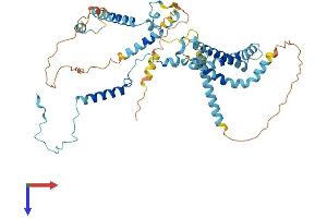 AlphaFold protein structure predicition of Mouse Recombinant Utp3 Protein, UniprotID Q9JI13 (UTP3 Protein (AA 1-469) (His tag))