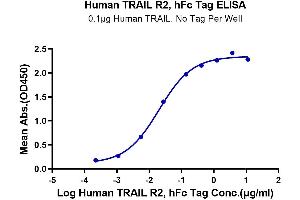 ELISA image for Tumor Necrosis Factor Receptor Superfamily, Member 10b (TNFRSF10B) (AA 56-182) protein (Fc Tag) (ABIN7274496)