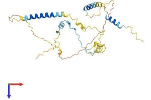 Mitochondrial Fission Regulator 1-Like (MTFR1L) (AA 1-292) protein (His tag)