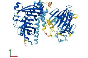 AlphaFold protein structure predicition of Mouse Recombinant Acot12 Protein, UniprotID Q9DBK0 (ACOT12 Protein (AA 1-556) (His tag))