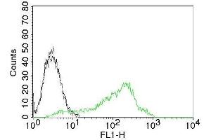 Flow Cytometry of Human Nucleolin Ag on 293T cells. (Nucleolin antibody)