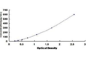 Typical Standard Curve (Fetuin A ELISA Kit)