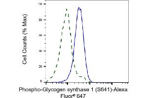 Validation of Glycogen synthase 1 knockdown using flow cytometry.
