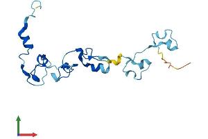 AlphaFold protein structure predicition of Human Recombinant CPSF4L Protein, UniprotID A6NMK7 (CPSF4L Protein (AA 1-179) (His tag))
