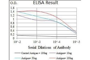 Black line: Control Antigen (100 ng), Purple line: Antigen(10 ng), Blue line: Antigen (50 ng), Red line: Antigen (100 ng), (CBX8 antibody  (AA 17-222))