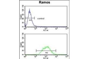 PCM-1 Antibody (Center) (ABIN391696 and ABIN2841598) flow cytometry analysis of Ramos cells (bottom histogram) compared to a negative control cell (top histogram). (PCM1 antibody  (AA 632-661))