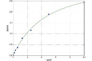 Glypican 3 (GPC3) ELISA Kit